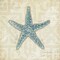 Beach Treasures II Poster Print by Emily Adams - Item # VARPDX13704